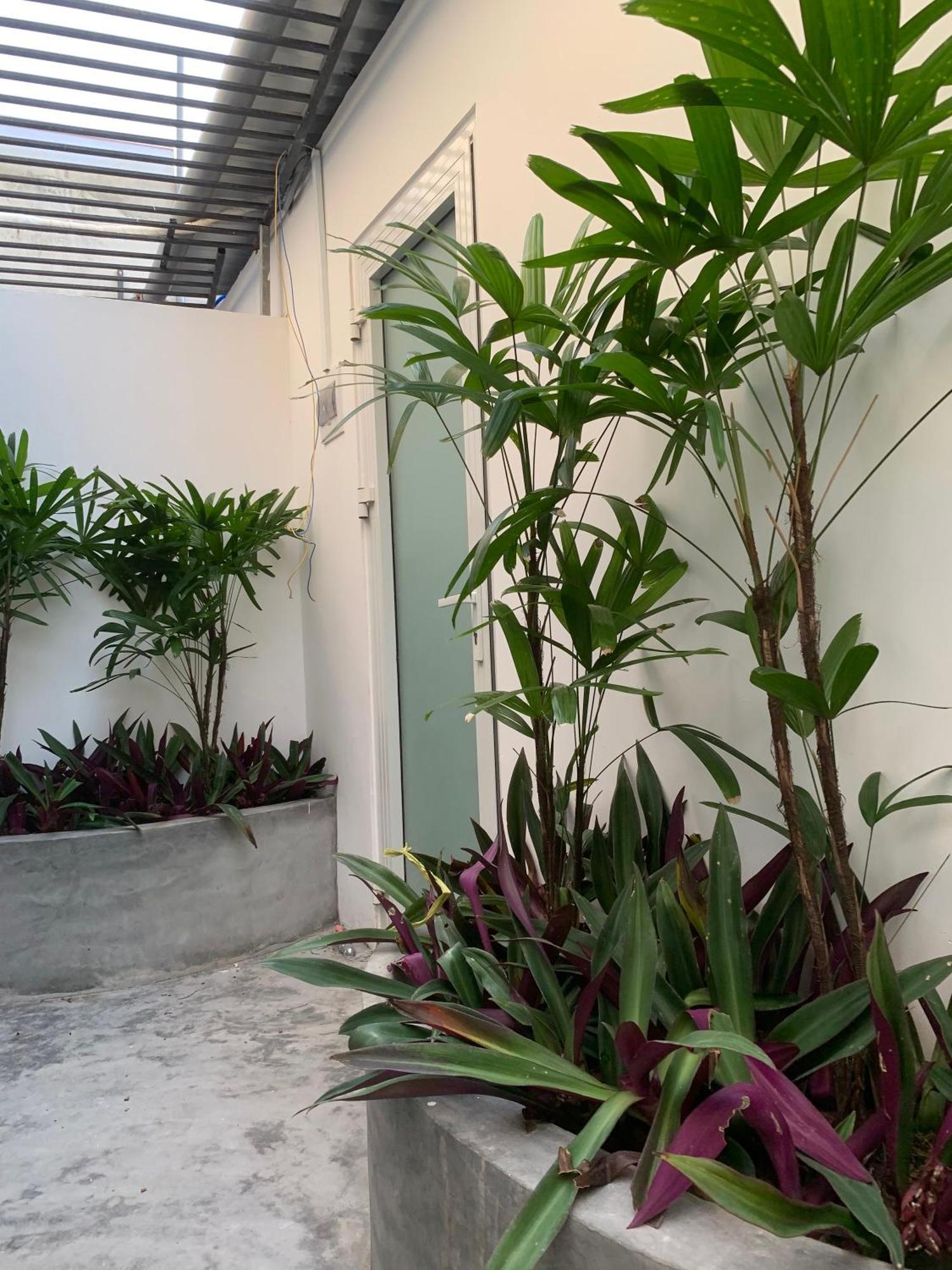 Ts Beach House Phú Quốc Eksteriør billede